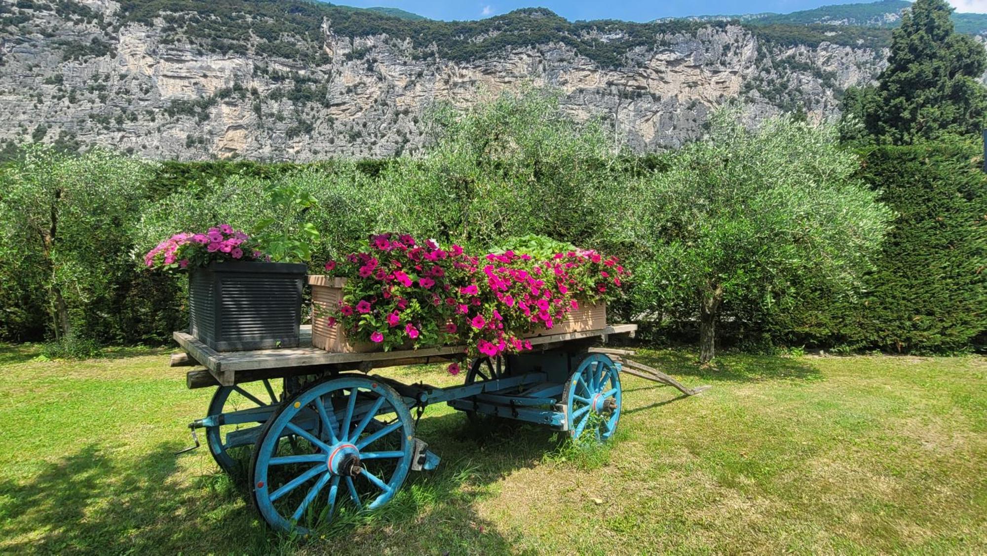 Agriturismo Vin E Amor Дро Екстер'єр фото