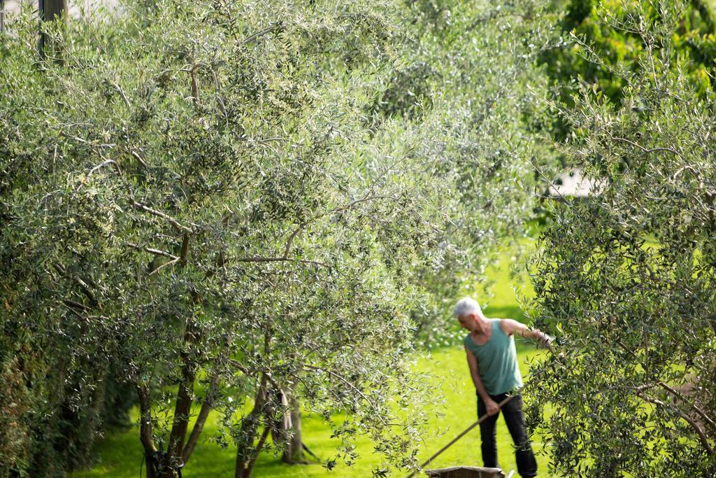 Agriturismo Vin E Amor Дро Екстер'єр фото